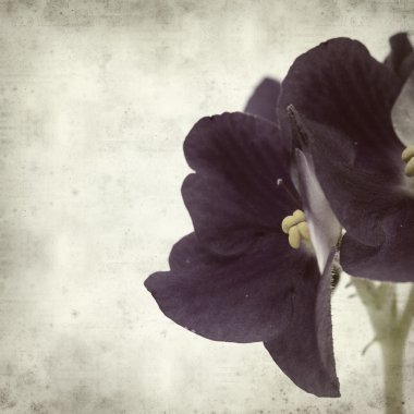 desenli eski kağıt arkaplan  