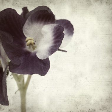 desenli eski kağıt arkaplan  