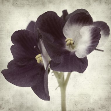 desenli eski kağıt arkaplan  