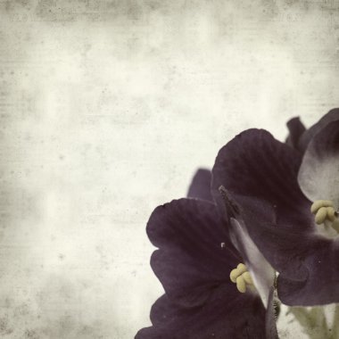 desenli eski kağıt arkaplan  