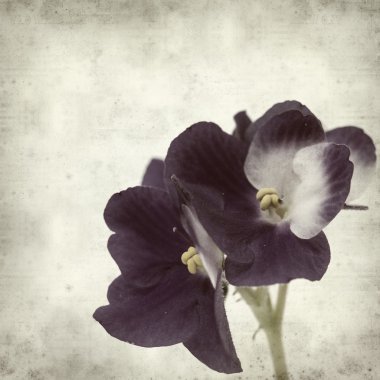 desenli eski kağıt arkaplan  