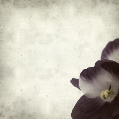 desenli eski kağıt arkaplan  