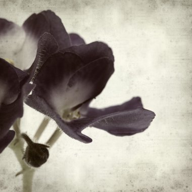 desenli eski kağıt arkaplan  