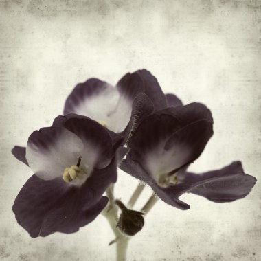 desenli eski kağıt arkaplan  