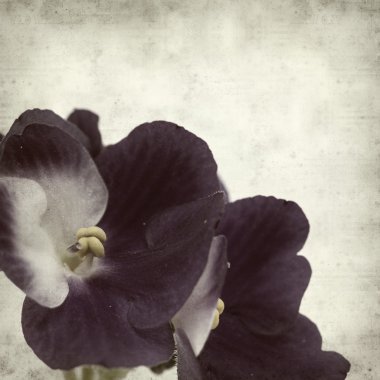 desenli eski kağıt arkaplan  