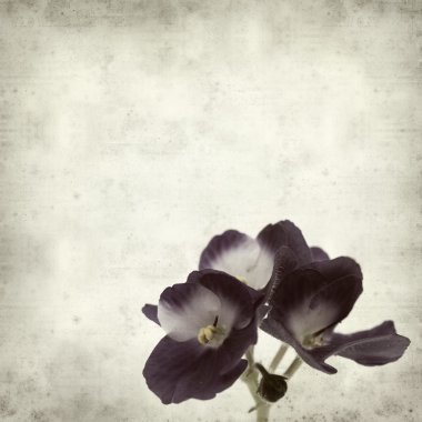 desenli eski kağıt arkaplan  