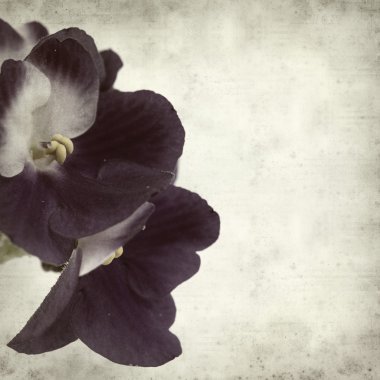 desenli eski kağıt arkaplan  