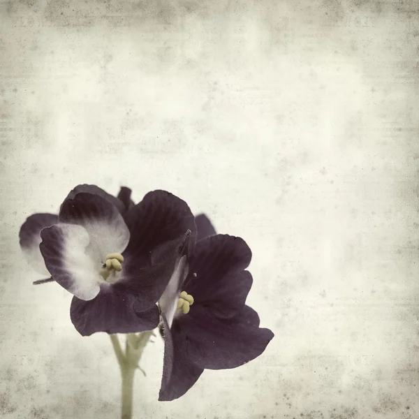 desenli eski kağıt arkaplan  