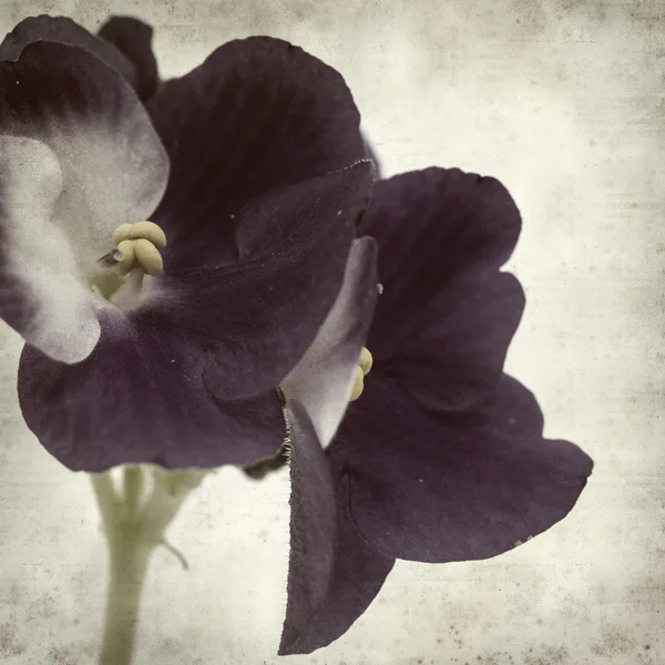 desenli eski kağıt arkaplan  