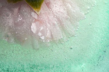 donmuş flora arka plan