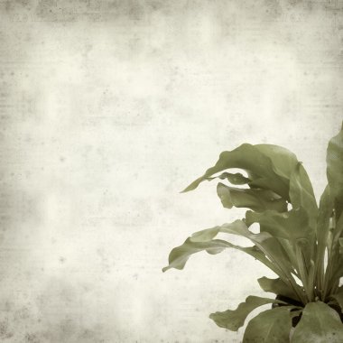 desenli eski kağıt arkaplan  