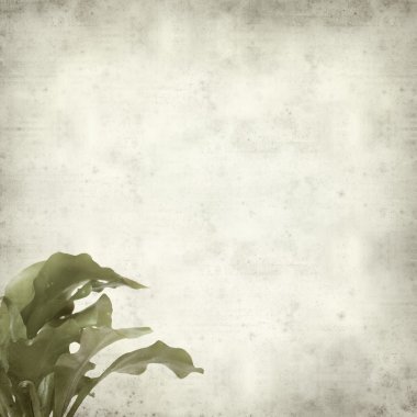 desenli eski kağıt arkaplan  