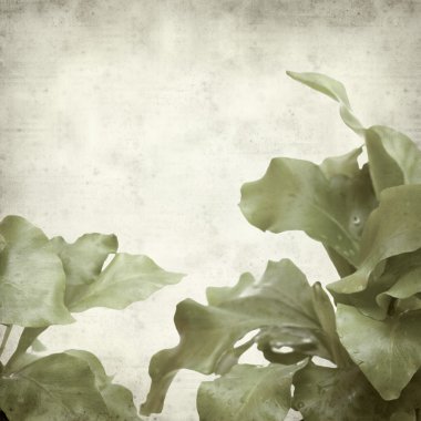 desenli eski kağıt arkaplan  