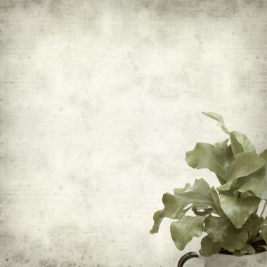 desenli eski kağıt arkaplan  