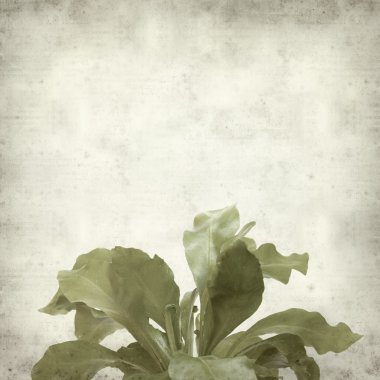 desenli eski kağıt arkaplan  