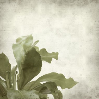 desenli eski kağıt arkaplan  