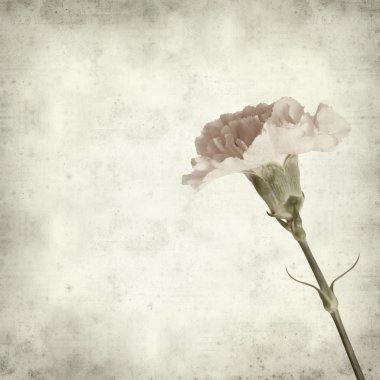 desenli eski kağıt arkaplan  