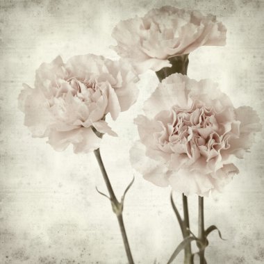 desenli eski kağıt arkaplan  