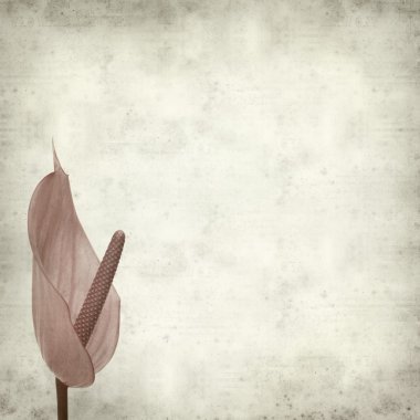 desenli eski kağıt arkaplan  