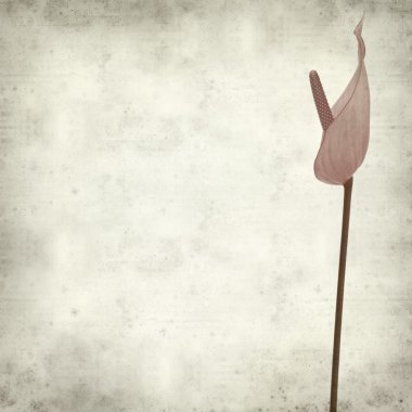 desenli eski kağıt arkaplan  