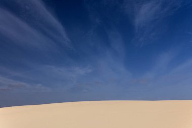 Fuerteventura, Kanarya Adaları, Corralejo 'nun kuzeyindeki doğa parkı kumulları.