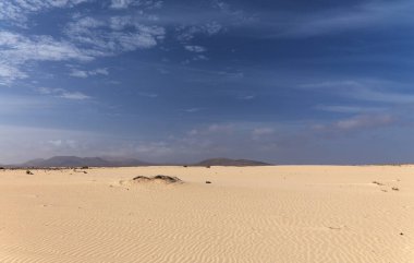 Fuerteventura, Kanarya Adaları, Corralejo 'nun kuzeyindeki doğa parkı kumulları.
