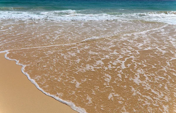 Fuerteventura Îles Canaries Large Plage Sable Playa Del Matorral Sur — Photo