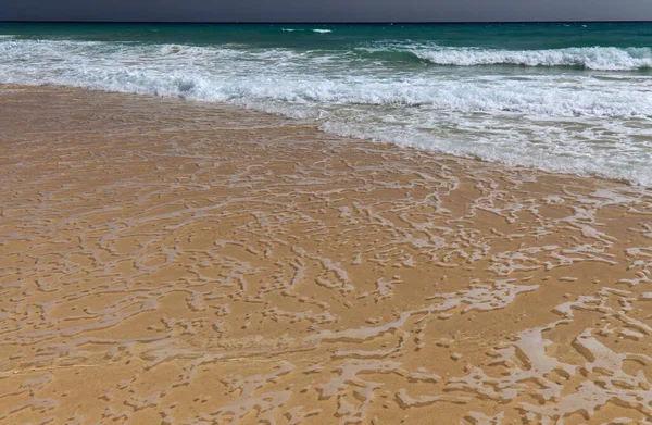 フエルテベントゥラ島 カナリア諸島 ジャンディア半島の広い砂浜プラヤデルモルタルビーチ — ストック写真