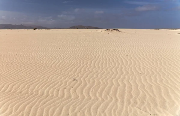 Fuerteventura Îles Canaries Parc Naturel Dunes Corralejo Nord Île — Photo