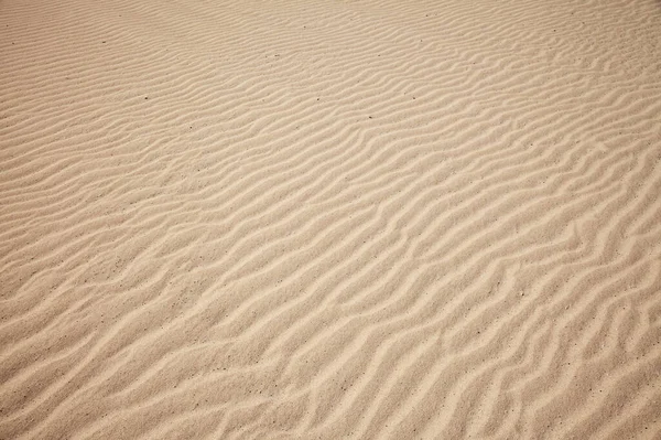 フェルテベントゥラ島 カナリア諸島 自然公園島の北にあるCorralejoの砂丘 — ストック写真