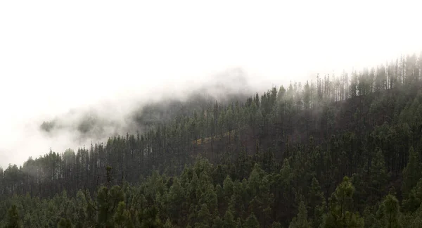 Gran Canaria Adanın Orta Kısmının Manzarası Las Cumbres Summits Kanarya — Stok fotoğraf