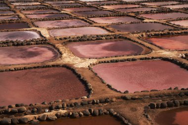 Gran Canaria, Salinas de Tenefe 18. yüzyıl tuz buharlaştırma göletleri, deniz tuzu üreticisi, çoklu mutfak ödülleri sahibi