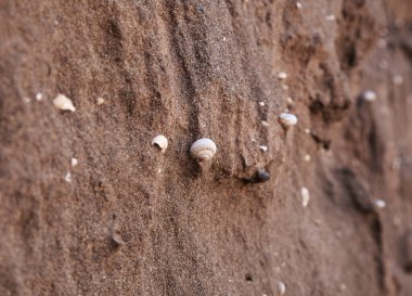 Gran Canaria, Punta de las Arenas 'ın batı yakasındaki vadilerde inanılmaz kum taşı erozyon figürleri, Playa de Artenara olarak da bilinir.