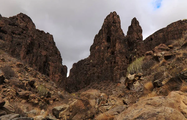 Gran Canaria Paisajes Largo Ruta Senderismo Alrededor Del Ravive Barranco —  Fotos de Stock