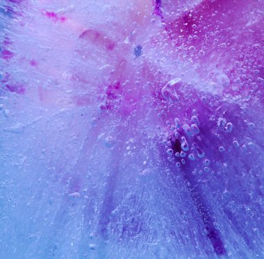 Donmuş bitki, buzdan görünen donmuş bir çiçek deseni.