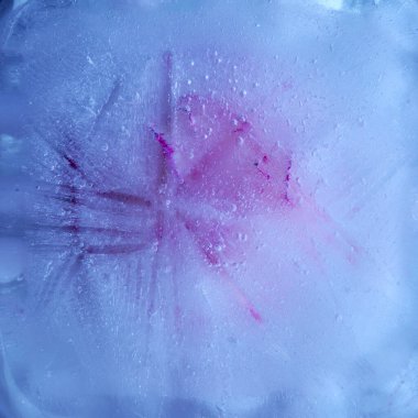 Donmuş bitki, buzdan görünen donmuş bir çiçek deseni.