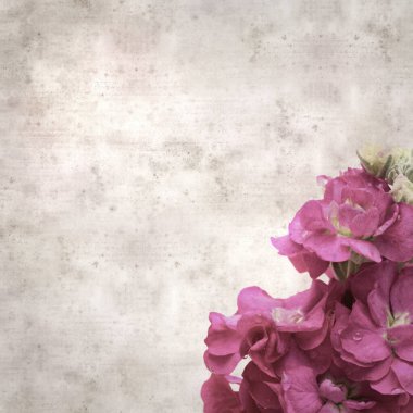 Koyu mor Brompton hisse senedi şişkinliği olan şık desenli eski kağıt arka plan.