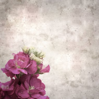 Koyu mor Brompton hisse senedi şişkinliği olan şık desenli eski kağıt arka plan.