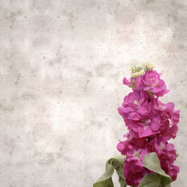 Koyu mor Brompton hisse senedi şişkinliği olan şık desenli eski kağıt arka plan.