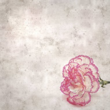 Pembe kenarlı açık krem karanfilli şık desenli eski kağıt arka plan