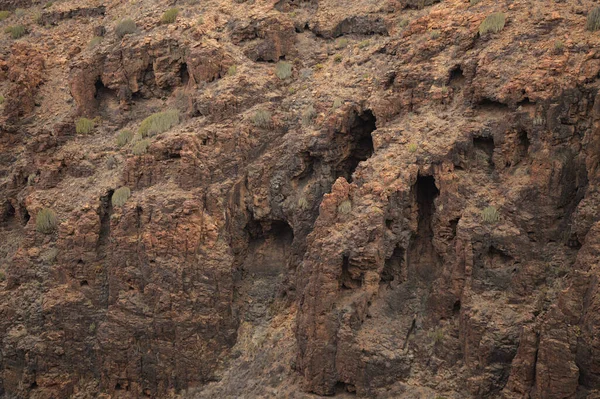 Gran Canaria Paysages Long Route Randonnée Autour Ravive Barranco Del — Photo