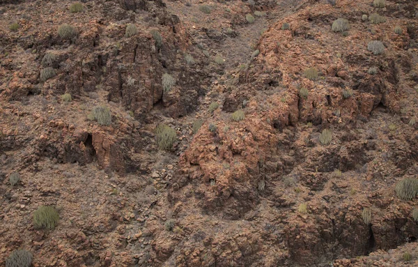 Gran Canaria Paysages Long Route Randonnée Autour Ravive Barranco Del — Photo