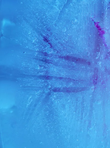Zmrazená Flóra Ledová Textura Květinou Zamrzlou Viditelnou Skrz Led — Stock fotografie