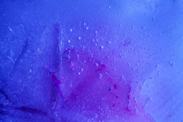 Bevroren Flora Iced Textuur Met Een Bloem Bevroren Zichtbaar Door — Stockfoto