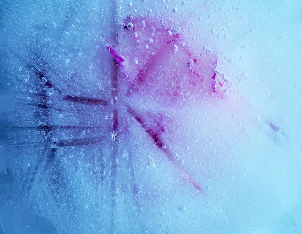 Zmrazená Flóra Ledová Textura Květinou Zamrzlou Viditelnou Skrz Led — Stock fotografie