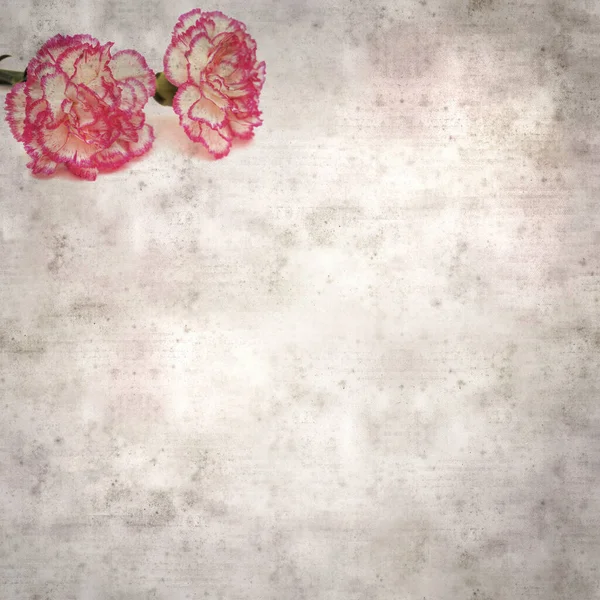Stylish Textured Old Paper Background Light Cream Carnation Pink Edges — Stock Photo, Image