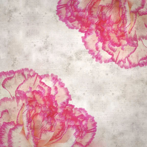 Stílusos Texturált Régi Papír Háttér Fény Krém Szegfű Rózsaszín Élek — Stock Fotó