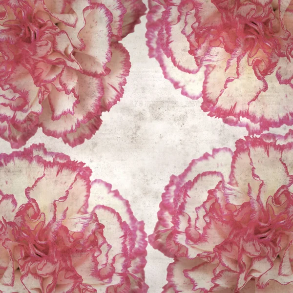 Stílusos Texturált Régi Papír Háttér Fény Krém Szegfű Rózsaszín Élek — Stock Fotó