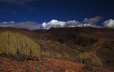 Gran Canaria, adanın güney kesimindeki çılgın Barranco del Toro çevresindeki yürüyüş rotası boyunca uzanan manzaralar, mağaralar ve mağaralarla dolu, San Agustin tatil köyüne yakın, kış yağmurlarından sonra vadide sular akıyor.
