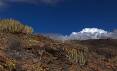 Gran Canaria, adanın güney kesimindeki çılgın Barranco del Toro çevresindeki yürüyüş rotası boyunca uzanan manzaralar, mağaralar ve mağaralarla dolu, San Agustin tatil köyüne yakın, kış yağmurlarından sonra vadide sular akıyor.